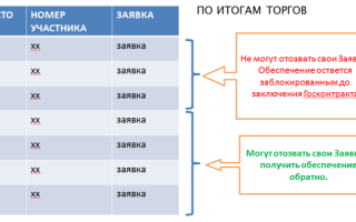 Правила проведения аукциона