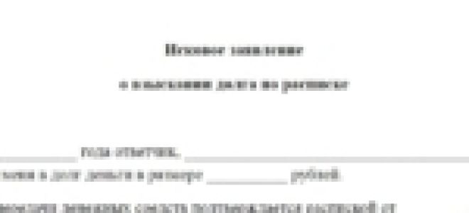 Возврат долга по долговой расписке через суд