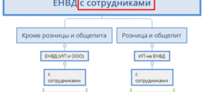 Пользование онлайн-кассой ип на енвд: обязательна ли она, кассовая дисциплина