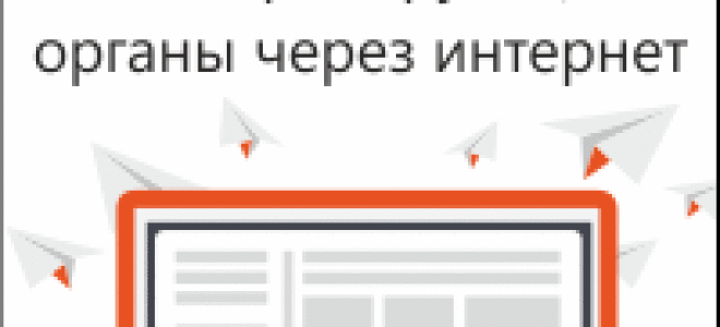 Проведение налоговых проверок ип: что говорит закон, какие документы нужно иметь