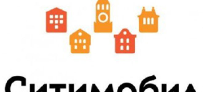 Оформление лицензии на такси без ип и без желтого и белого цвета на авто