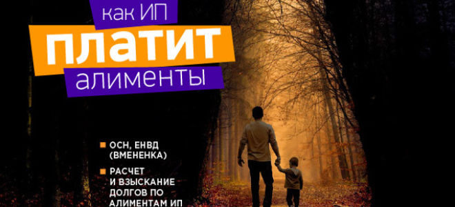 Оплата алиментов ип: как рассчитываются, судебная практика по взысканию