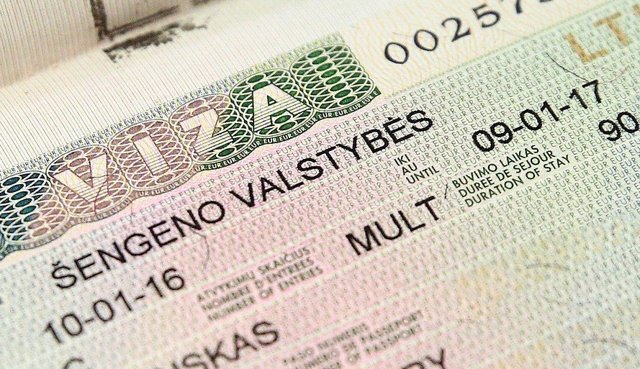 Как оформить справку с места работы для ИП на визу: получение шенгена