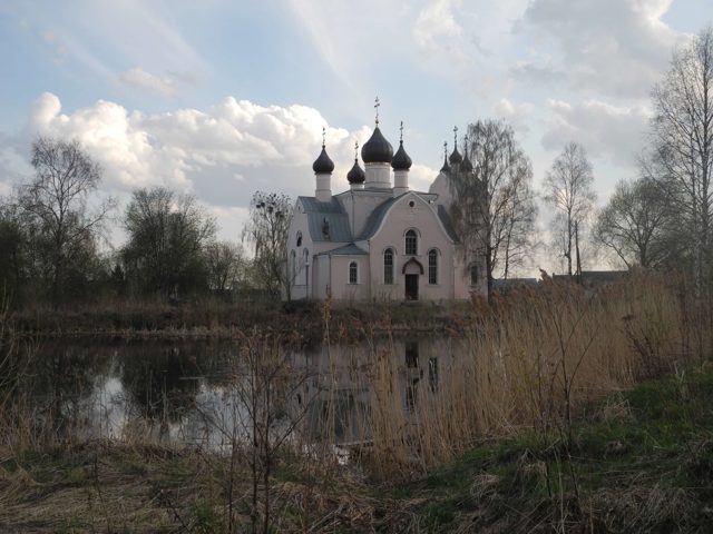 Считается ли поселок сельским населенным пунктом?