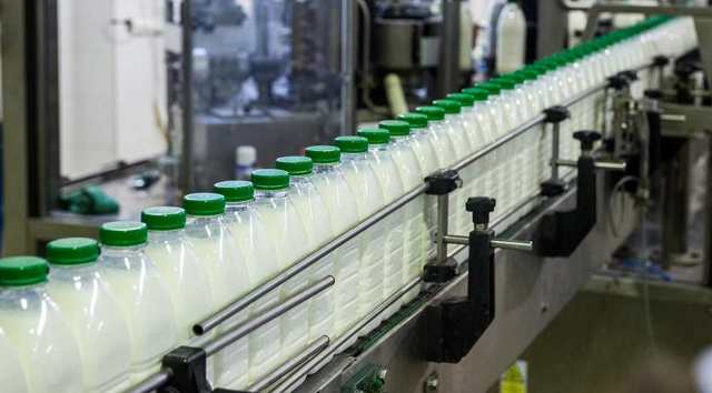 Как открыть бизнес по производству молочных продуктов?